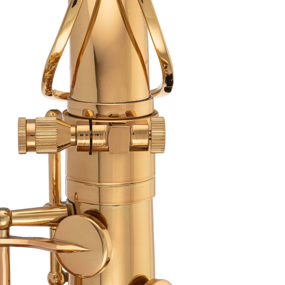 TS-860 Tenor Saxophone Big Neck Screw#finish_brass