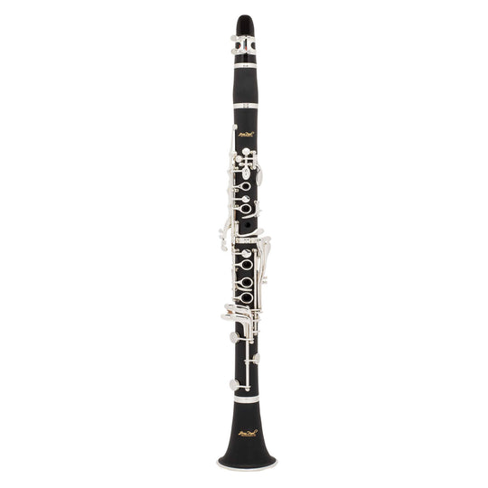 Intermediate Clarinet Photo 1
