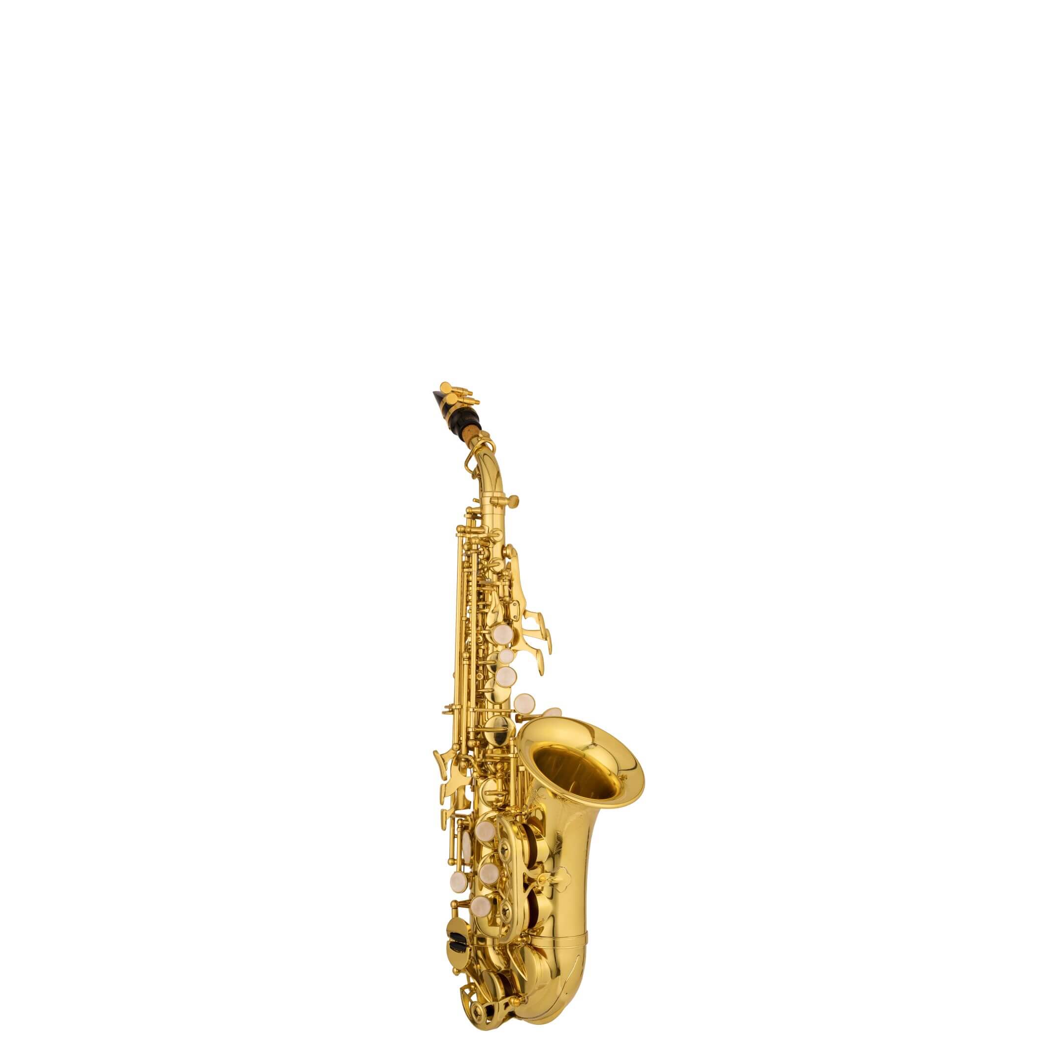Intermediate Curved Soprano