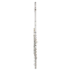 和楽器 FLAUTO DOLCE II 3007 Amazon.com: Nuvo jFlute Standard Kit - Black : Musical Instruments