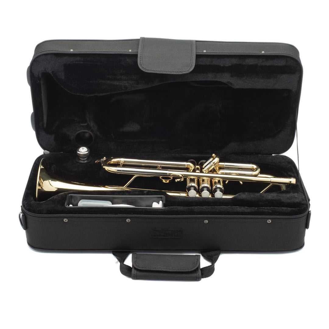 #finish_brass