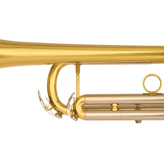 #finish_brass