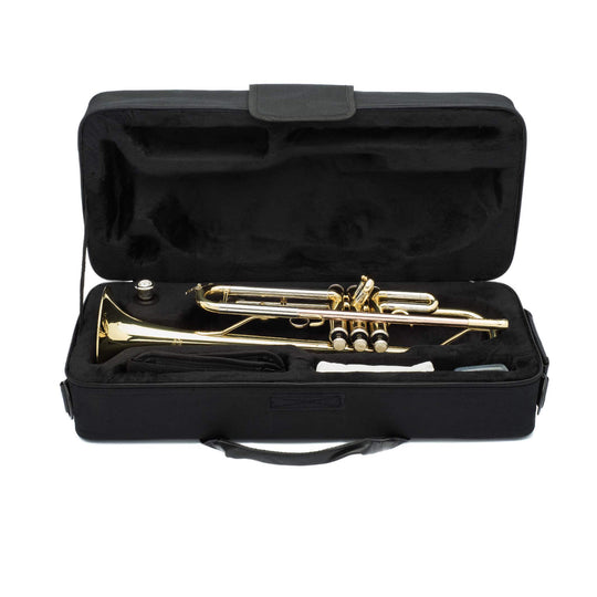 #finish_brass