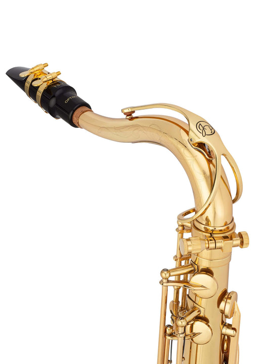 TS-860 Tenor Saxophone Neck with Mouthpiece#finish_brass
